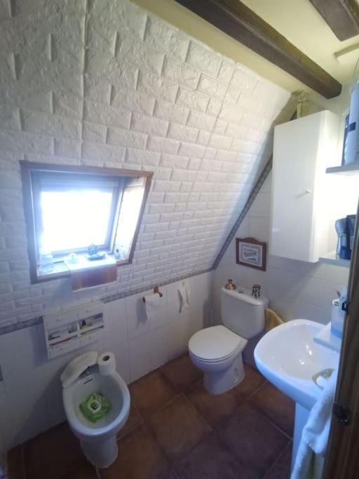 Atico En Pleno Pirineo Apartment El Pueyo de Jaca Ngoại thất bức ảnh